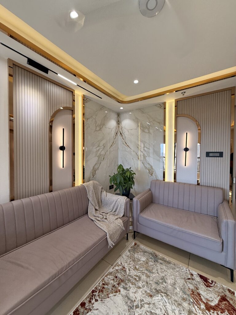 Portfolio Treeland living room sofas and rug